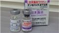 Japanese Enchephalitis Vaccines