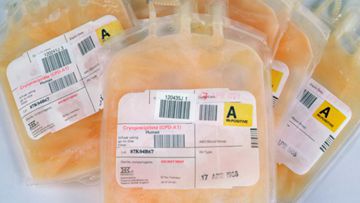 Platelet Transfusion