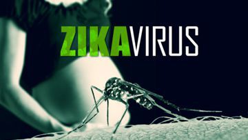 Zika Virus: an Emerging Global Pandemic