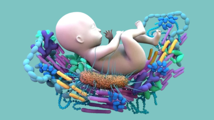 What’s in your infants gut?? <p style='font-size:16px;line-height:26px;'>The gut microbiome after birth help in normal development of the immune system and protect against some diseases as well.</p>