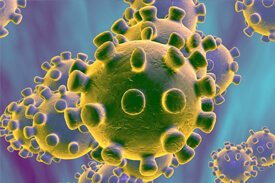 NOVEL CORONAVIRUS (2019-nCoV) OUTBREAK UPDATE